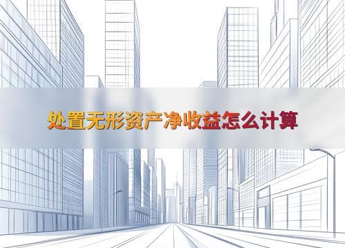 处置无形资产净收益怎么计算