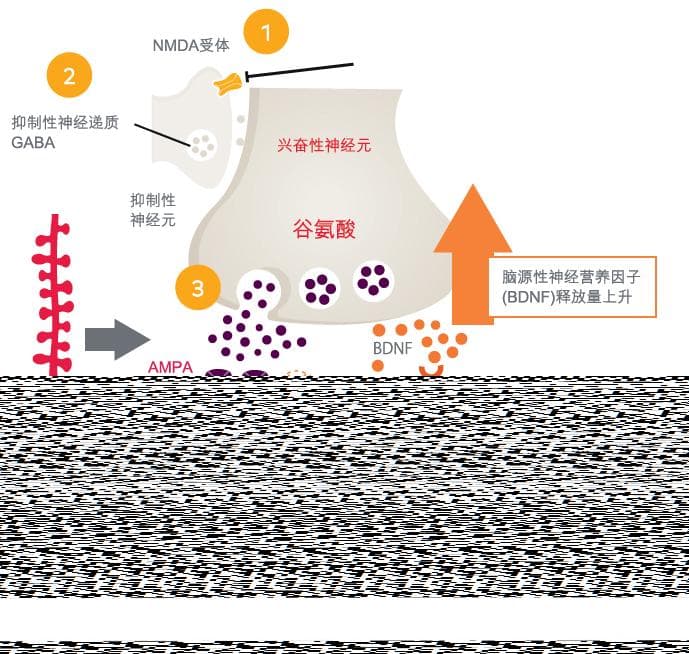 调节谷氨酸传递，新型喷鼻剂药物助力抑郁症治疗