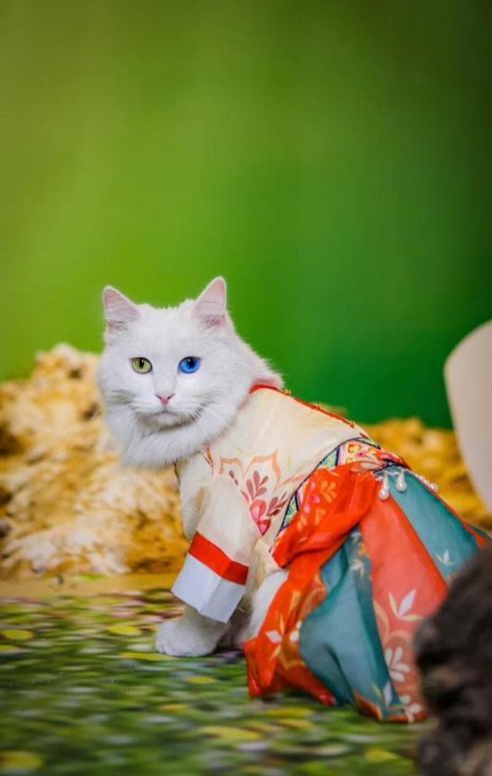 元宵节的各种习俗