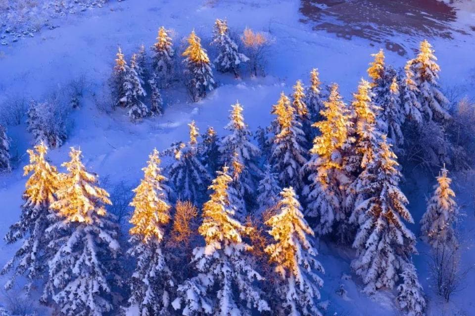 伊春玩雪到三月！解锁北国童话秘境，这份冰雪狂欢攻略请收好！
