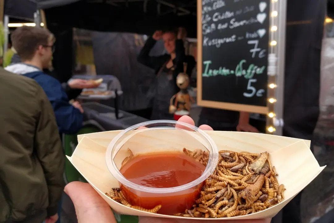 欧盟批准将虫子粉末放入面包、果酱等食品中，最高含量可达 4%，欧洲人的天塌了