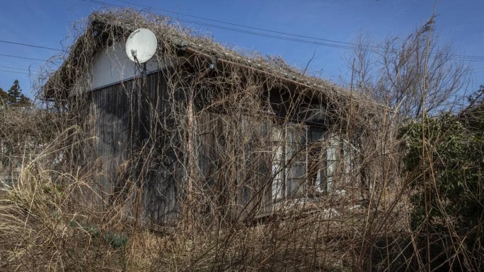 日本900万套空置房：荒废的家园，落寞的乡愁！