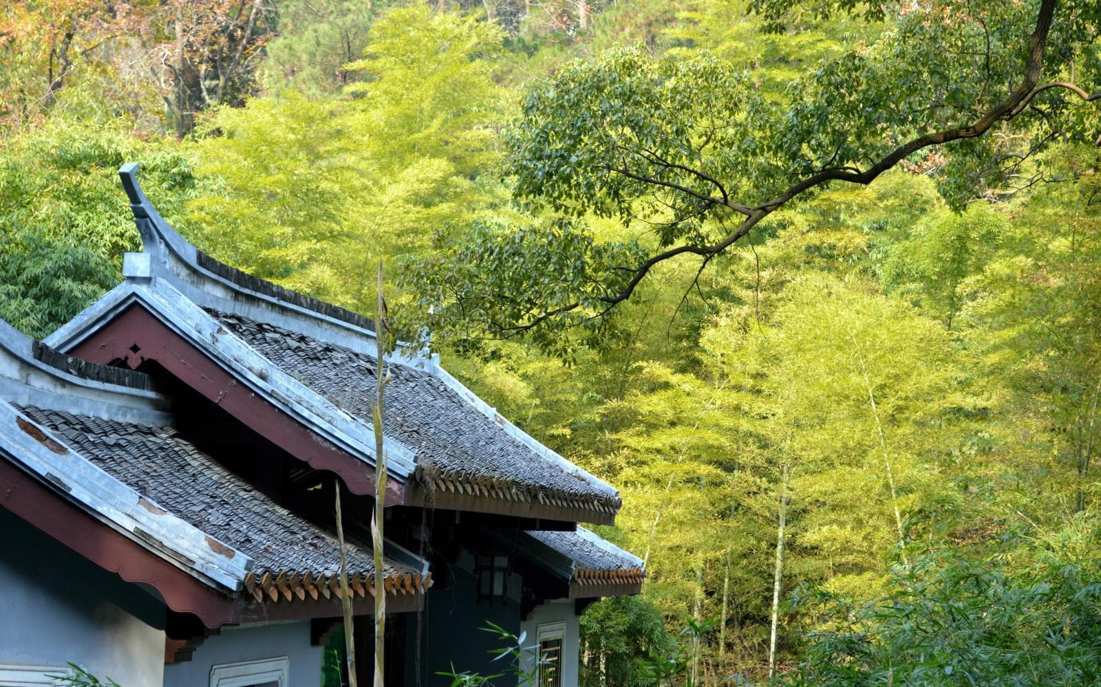 岳麓山附近住宿及游玩攻略