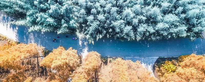 秋冬季节，如何预防感冒？