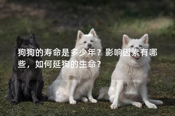 狗狗的寿命是多少年？影响因素有哪些，如何延狗的生命？
