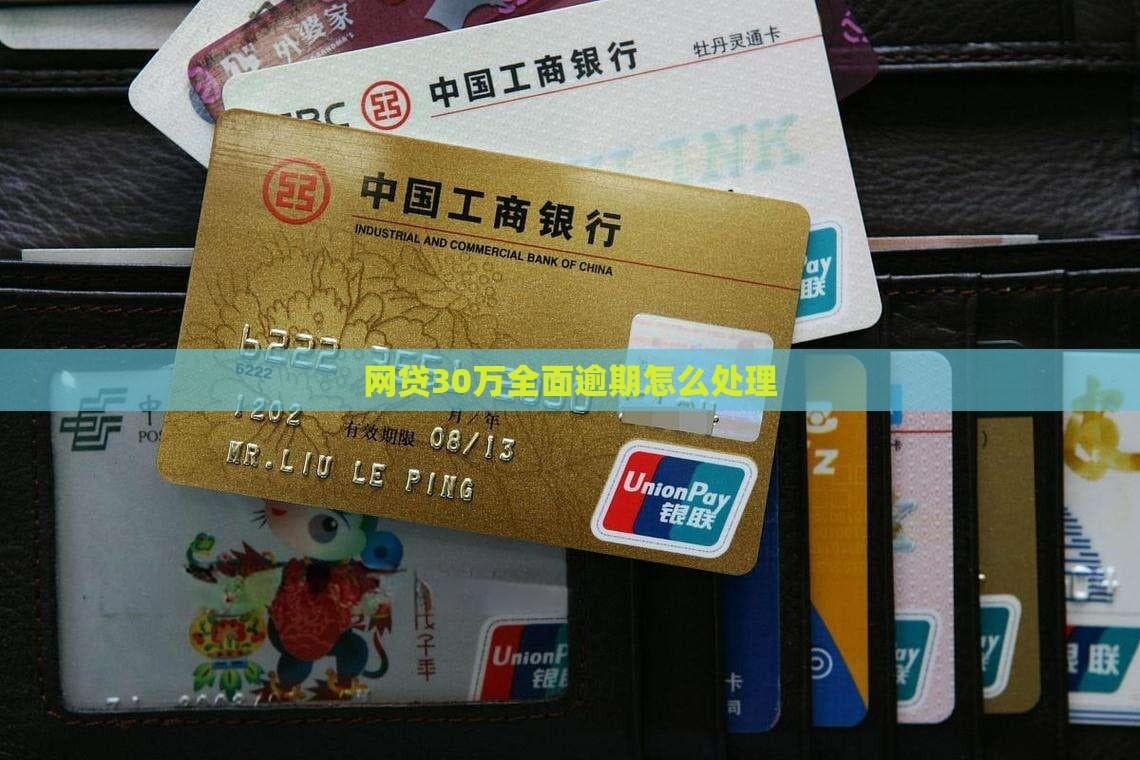 网贷30万全面逾期怎么办？危机与对策全解析