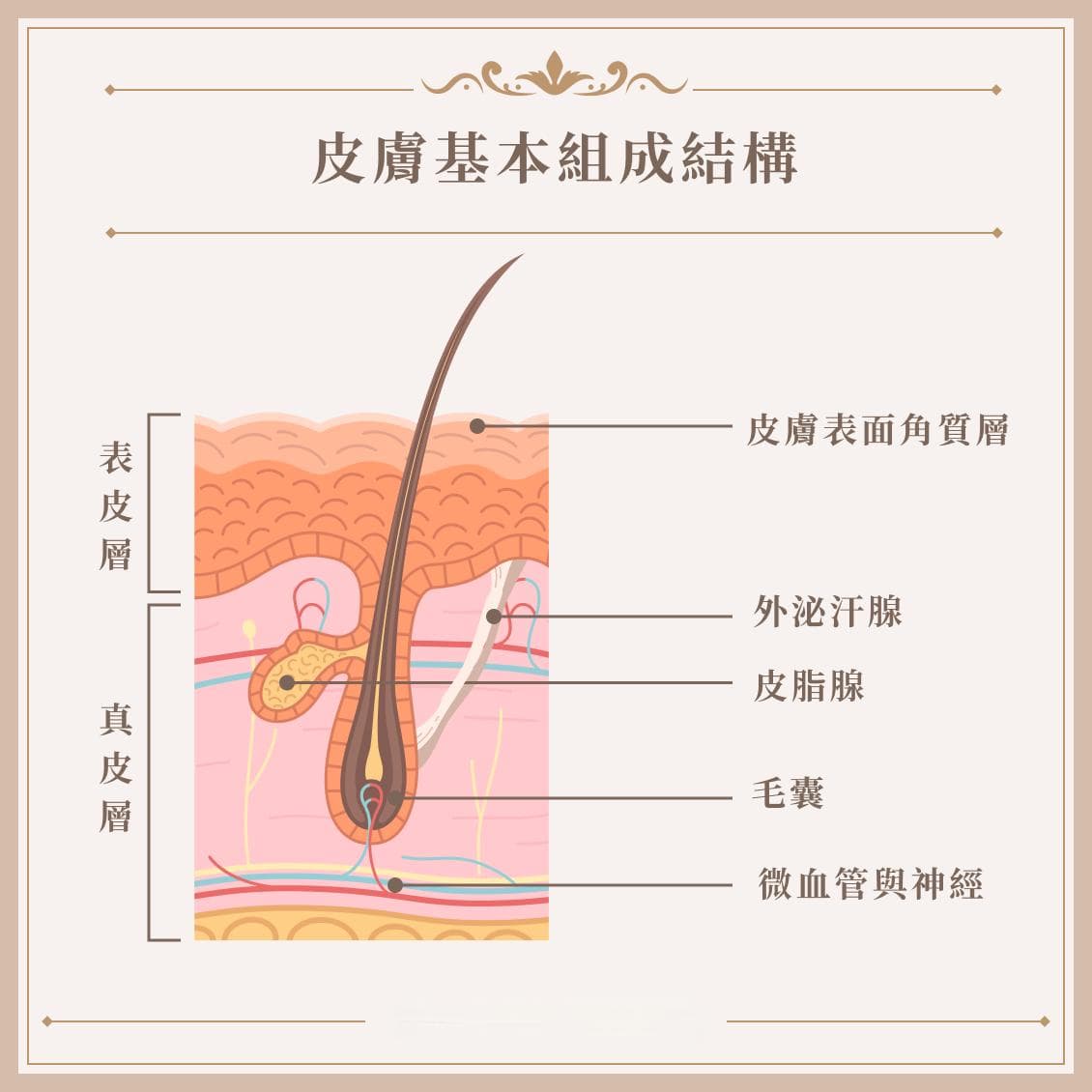 脸部出油怎么办？从原因到改善方案的全面护肤指南