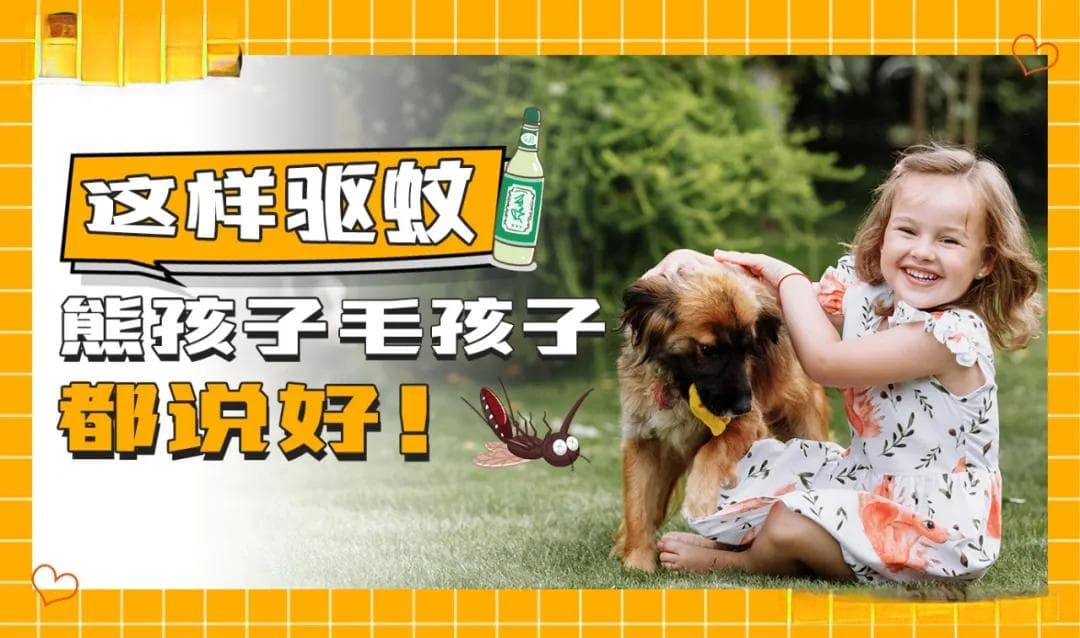 驱蚊产品那么多，到底哪些才是安全有效的驱蚊成分？