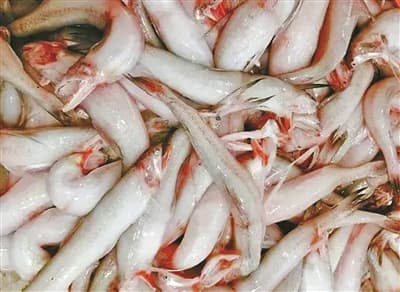 这些宁波美食和龙有渊源 你都吃过吗？