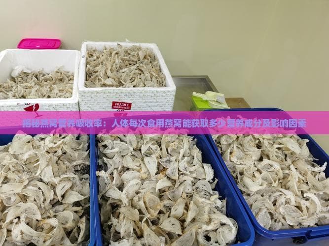 揭秘燕窝营养吸收率：人体每次食用燕窝能获取多少营养成分及影响因素