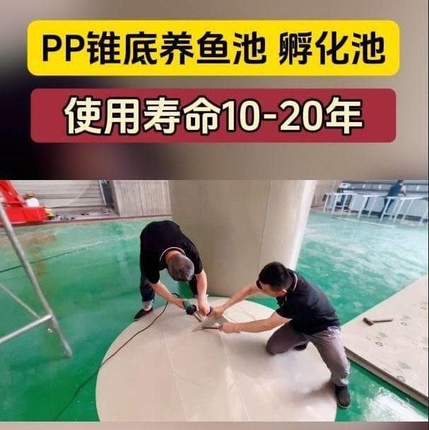 如何维护PP锥底养鱼池的卫生和清洁