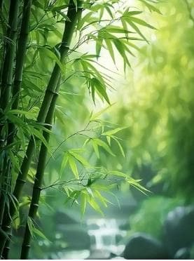 樱花有果实么？果实叫什么名字？