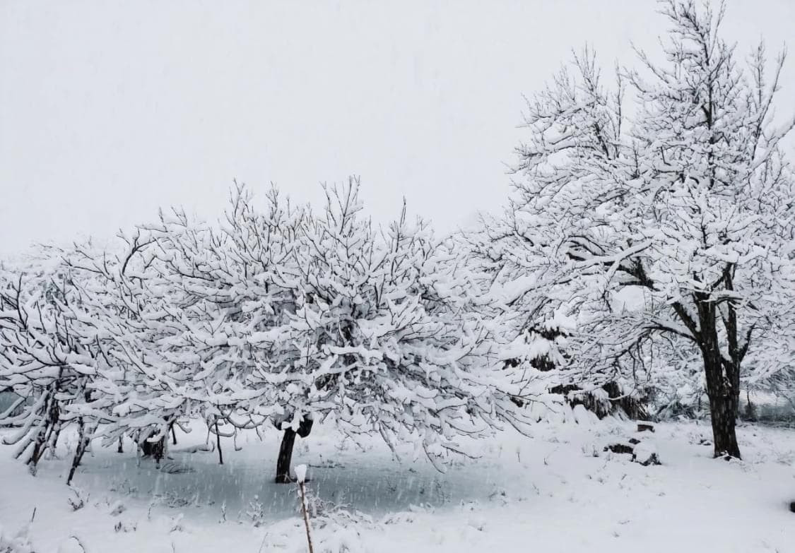 雪落乡村：冬日里的纯净与温情