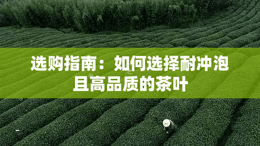选购指南：如何选择耐冲泡且高品质的茶叶