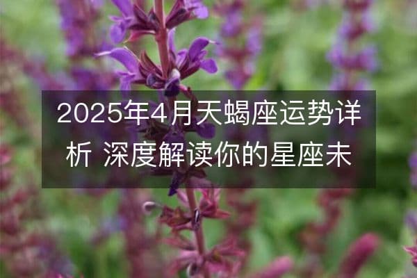 2025年4月天蝎座运势详析 深度解读你的星座未来