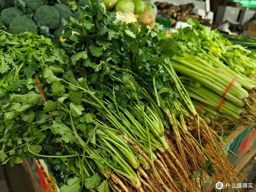 香菜保存指南：三种方法让香菜保鲜半年