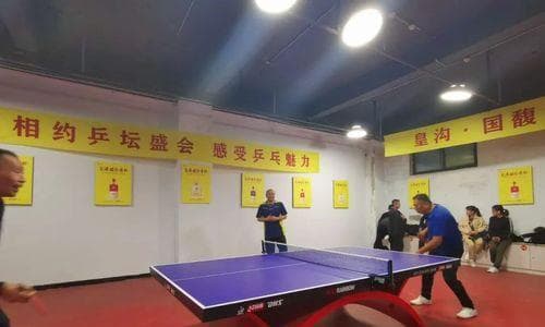 如何选购适合自己的乒乓球拍（以乒乓球选板技巧教学为例）