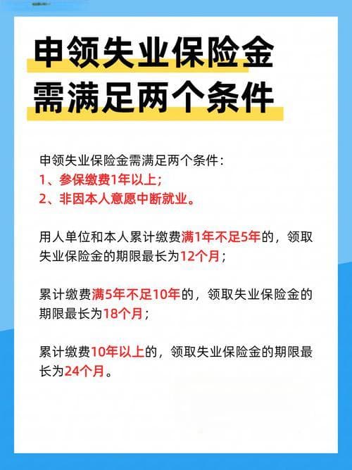 深入解析失业保险的基本知识
