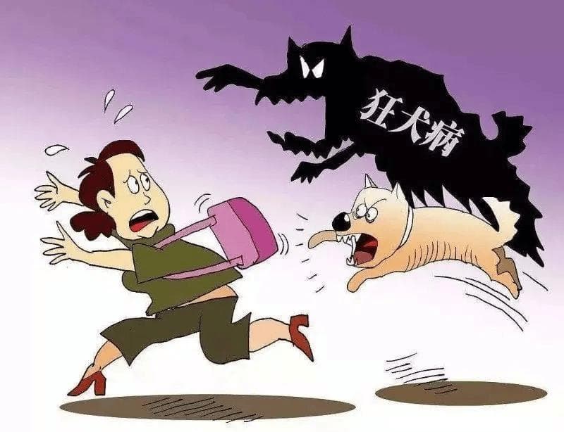 狂犬疫苗及狂犬病，一文详解！