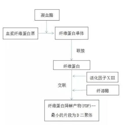 D-二聚体升高不要紧盯“肺栓塞”，这些情况也要掌握！