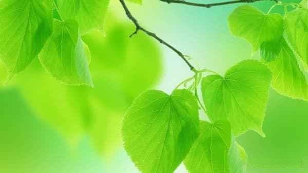 离婚女性如何快速实现经济独立？5个新潮职业等你选