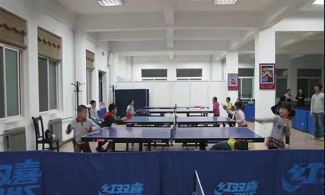 乒乓球运动技巧详解：从入门到精通