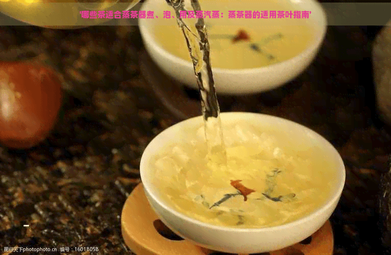 哪些茶适合蒸茶器煮、泡、用及蒸汽蒸：蒸茶器的适用茶叶指南