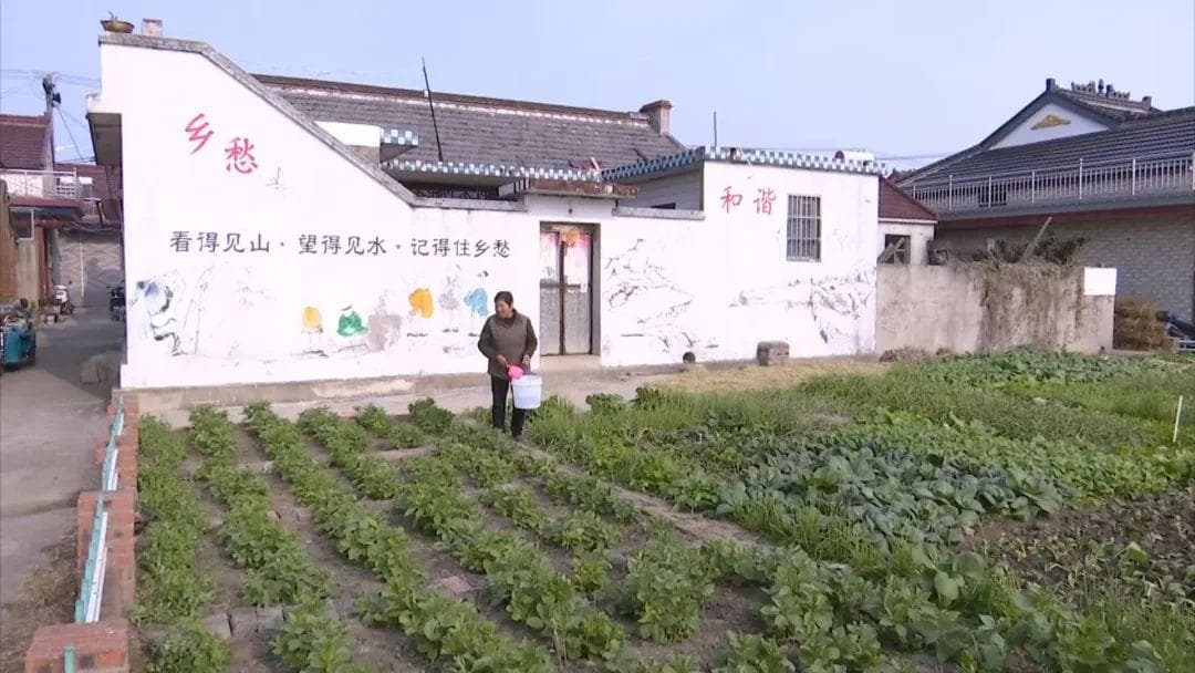 十件实事  幸福兴化①｜农村改厕“改”出文明新生活