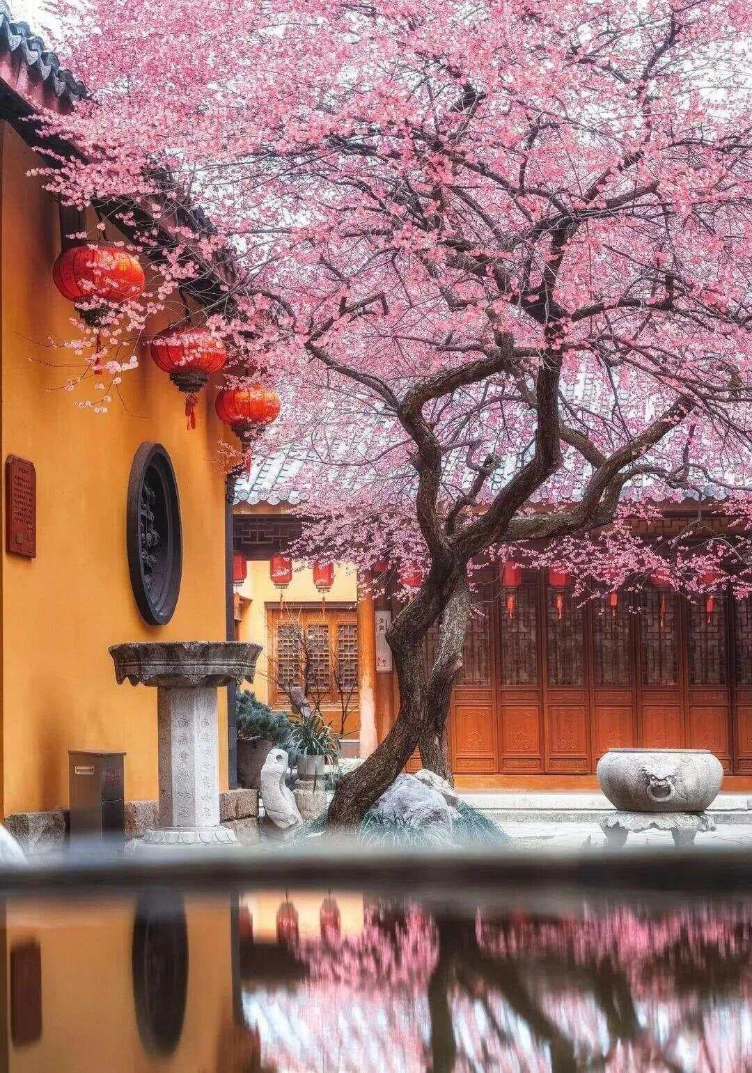《穷查理宝典：查理·芒格》：多元思维与逆流而上的力量