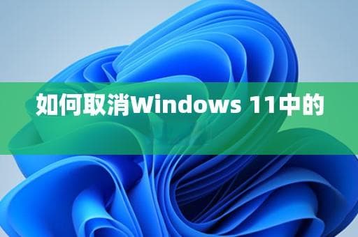 如何取消Windows 11中的PIN码