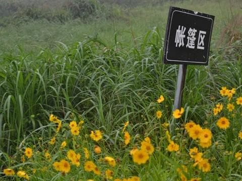 俞山岛游记&攻略
