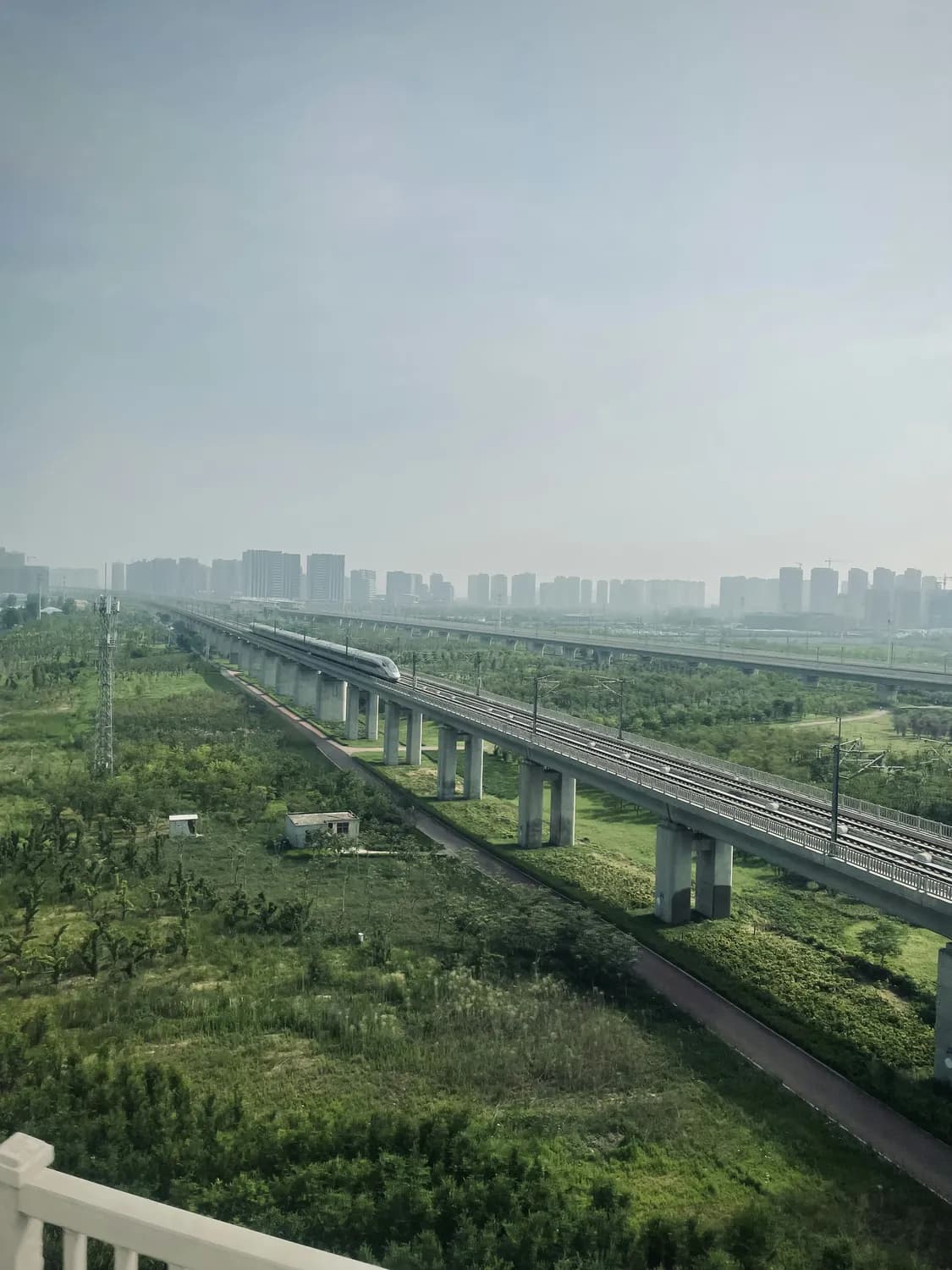 沁阳市2025年下半年经济建设全面提速