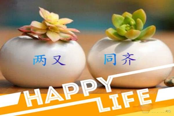 外贸邮件营销：已读不回背后的原因与应对策略