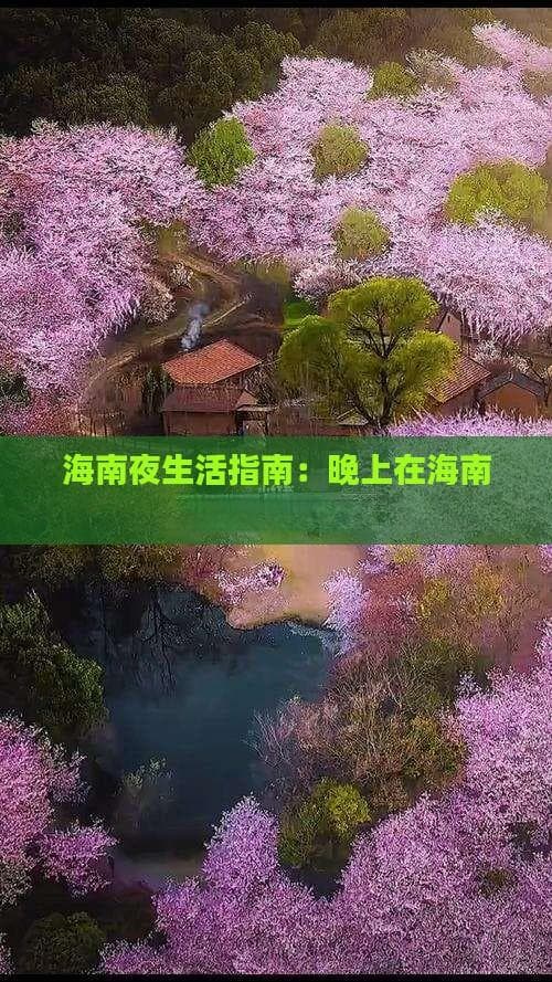 海南夜生活指南：晚上在海南游玩的好去处
