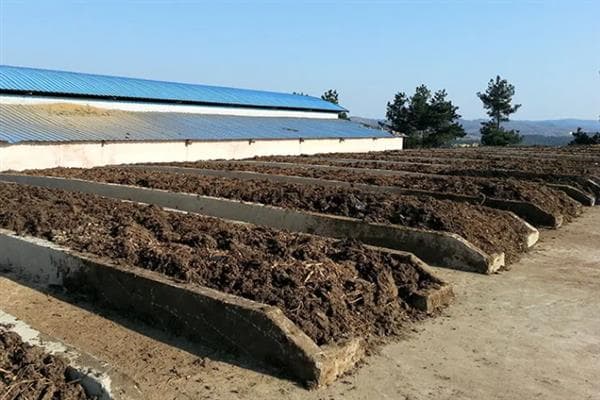 野生蚯蚓的养殖方法，每天对土壤洒一次水可防止蚯蚓脱水死亡