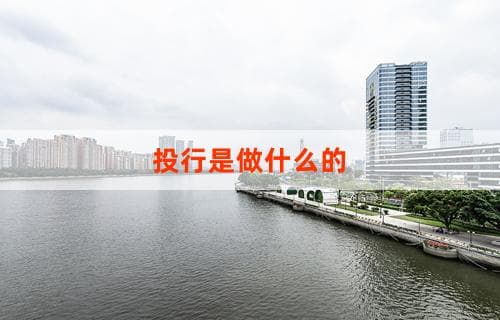 投行是做什么的：深度解析其职能与业务范畴