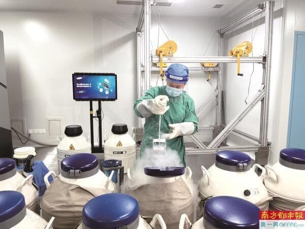 专家：40岁是男性生育力“高危界线”
