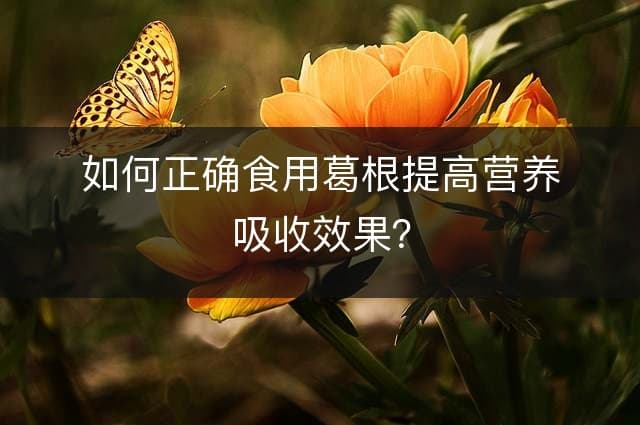 如何正确食用葛根提高营养吸收效果？