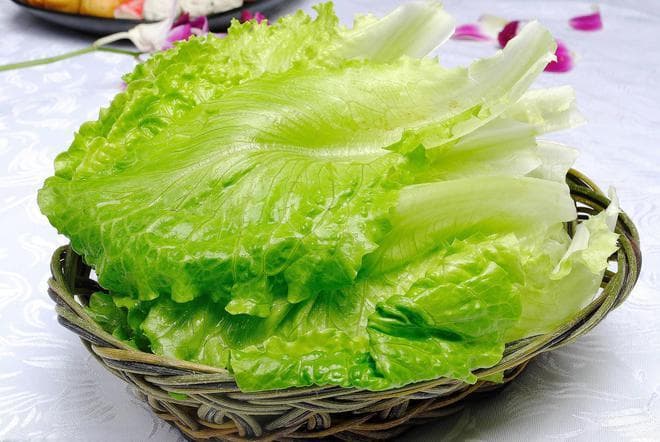 从春秋到四季，生菜种植变迁背后，农业技术与市场需求如何成就？