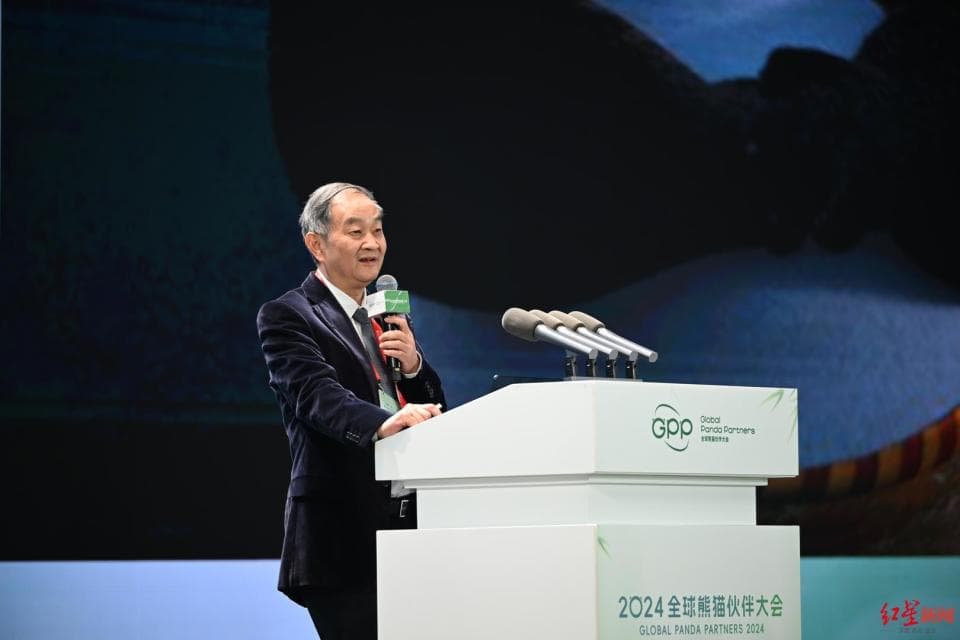 熊猫为什么能生存至今？它为什么爱滚马粪？科学院院士的这场演讲带你读懂大熊猫