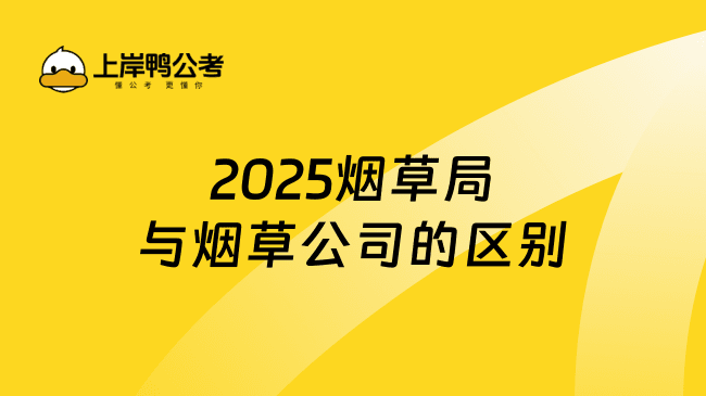 烟草专卖局与烟草公司的区别：性质、职责与目标全解析