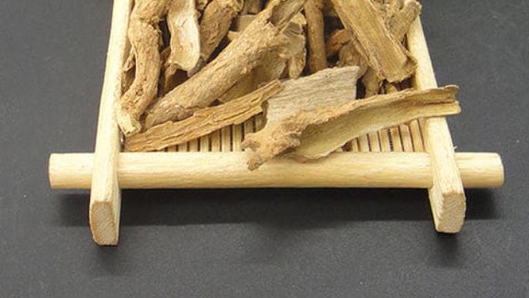 地骨皮的功效与禁忌：解热降糖佳品，经期孕妇慎用