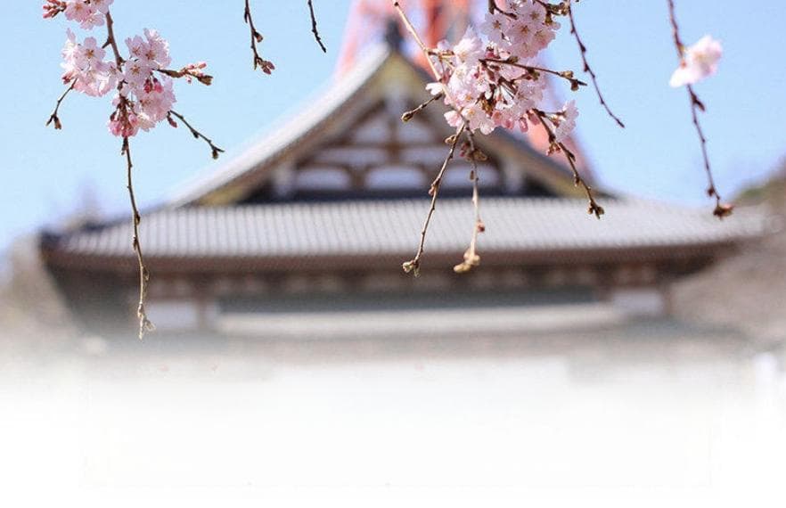 日本留学考试（EJU）是什么？考什么？有多难？八大问帮助你全面了解！