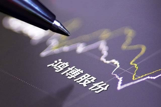 鸿博股份前老板巨额套现离场，17亿“接盘”股民怎么办？