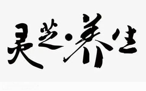 如何鉴别真假灵芝片