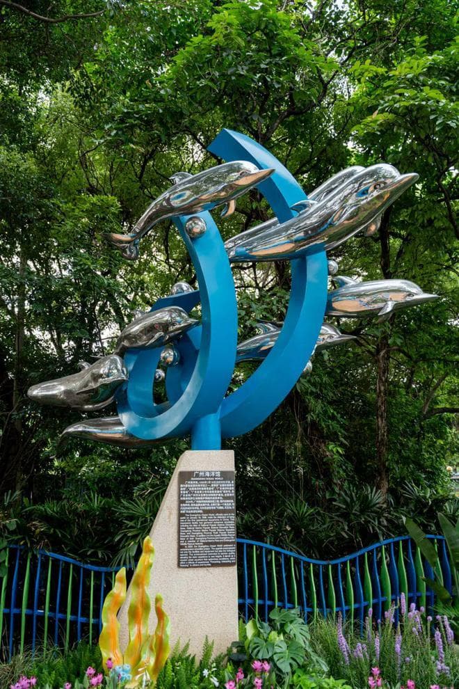 广州海洋馆焕新升级！四大展区特色玩法全攻略