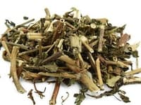 败酱草：清热解毒、祛瘀排脓的常用中药