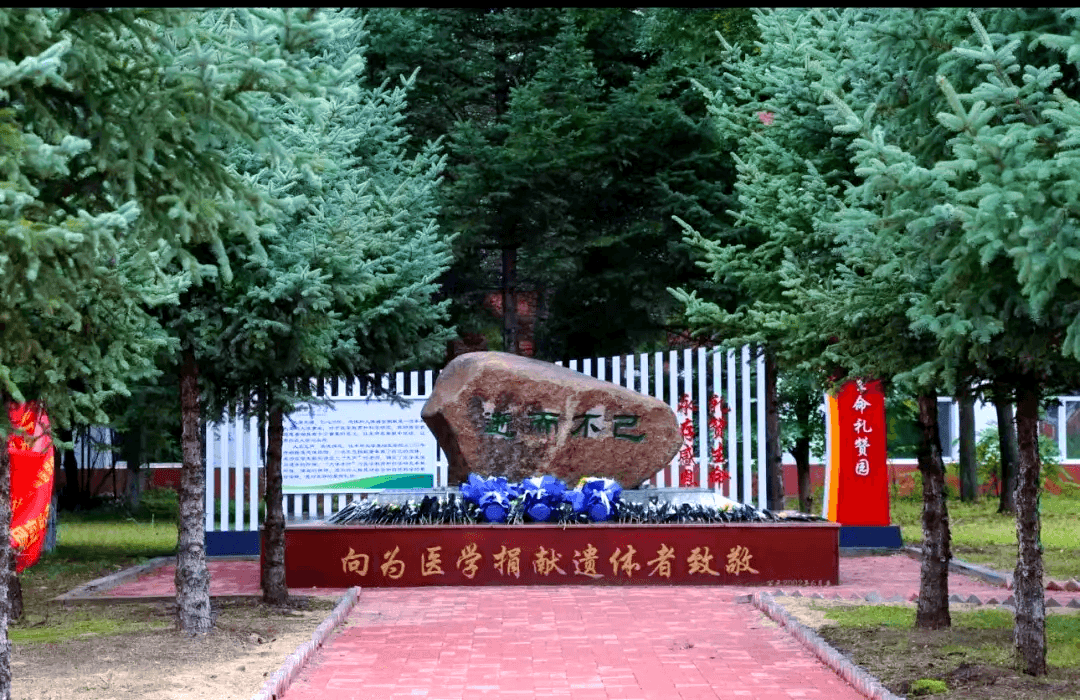 遗体和人体器官捐献的流程及指南