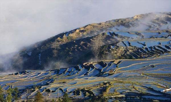 云南元阳梯田最佳旅游时间