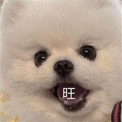 GIF压缩专题：gif压缩大小但不改变画质，应该如何操作？